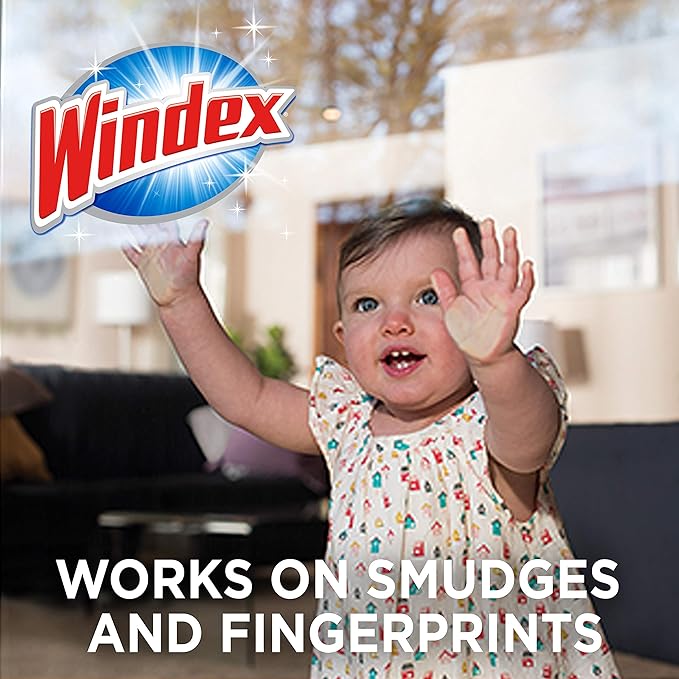 Windex 12 oz